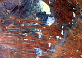Kalahari Desert,satellite image