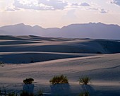 Chichuahan desert