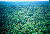 Aerial view of Amazonian rainforest,Ecuador