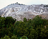 Deforestation of rainforest from mining,Tasmania