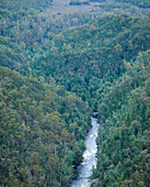 View of temperate rainforest with river,Tasmania