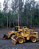 Bulldozing a rainforest,Hawaii