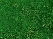 Deforestation in Rondonia,Brazil,1975
