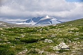 Scandinavian tundra and mountains