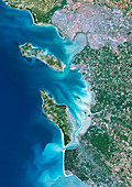Islands of Re and Oleron,France