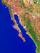 Baja California,satellite mosaic
