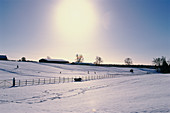 Stables in the snow