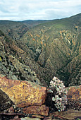 Dry river gorge