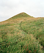Grassy hill,Wales