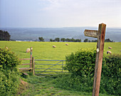 Footpath signpost