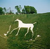 Cherhill white horse