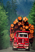 Logging truck loaded with logs