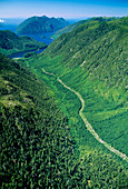 Aerial view of a regenerating clear-cut forest