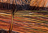 Harvested willow sticks