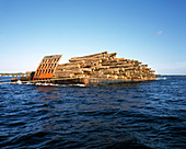 Barge laden with timber,Malaysia