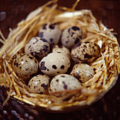 Quail eggs