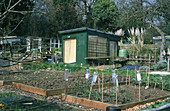 Allotment