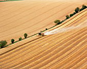 Combine harvester at work