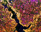 Coloured radar image of agriculture in the Ukraine