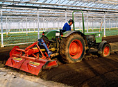 Worker ploughing greenhouse field with tractor