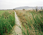 Drainage channel