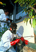 Male technicians treating a house for termites