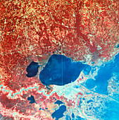 Landsat-4 thematic mapper showing gulf coast