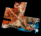 Satellite mosaic of New Orleans,USA