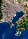 Tokyo,satellite image