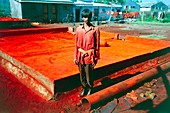 Asian worker at a polluting chemical dye factory