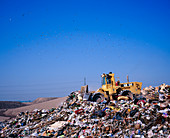 Landfill site with bulldozer levelling refuse