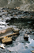 Hazardous waste lagoon