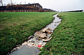 Polluted ditch