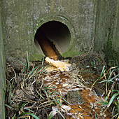 Industrial water pollution