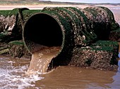 Sewage outlet pipe discharging onto beach