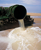 Sewage outlet pipe discharging onto beach
