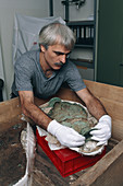 Archaeologist reconstructing a bronze Celtic pot