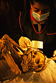 Chachapoyas mummy research,Peru