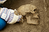 Roman skull