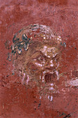 Fresco of the muse Thalia,Pompeii