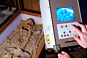 Archaeology research,skeleton scanning