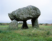 Llech Y Tripydd standing stones
