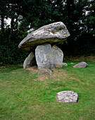 Carreg Coetan standing stones
