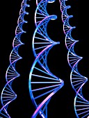 DNA molecules,computer artwork
