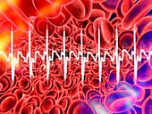 Red blood cells and ECG,artwork