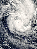 Tropical cyclone Percy