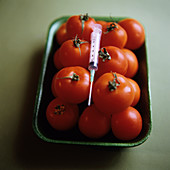 Genetically modified tomatoes