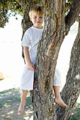 Boy sitting in a tree