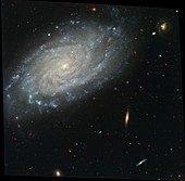 Spiral galaxy NGC 3370