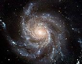 Spiral galaxy M101